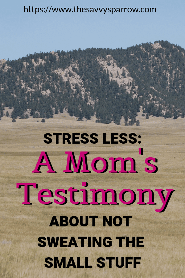 Stress less: A Mom's Testimony about not sweating the small stuff.